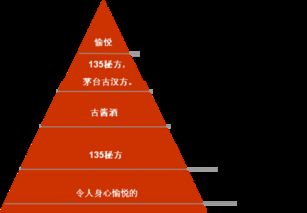 古漢方白酒產(chǎn)品包裝設(shè)計(jì)與品牌營銷策劃方案